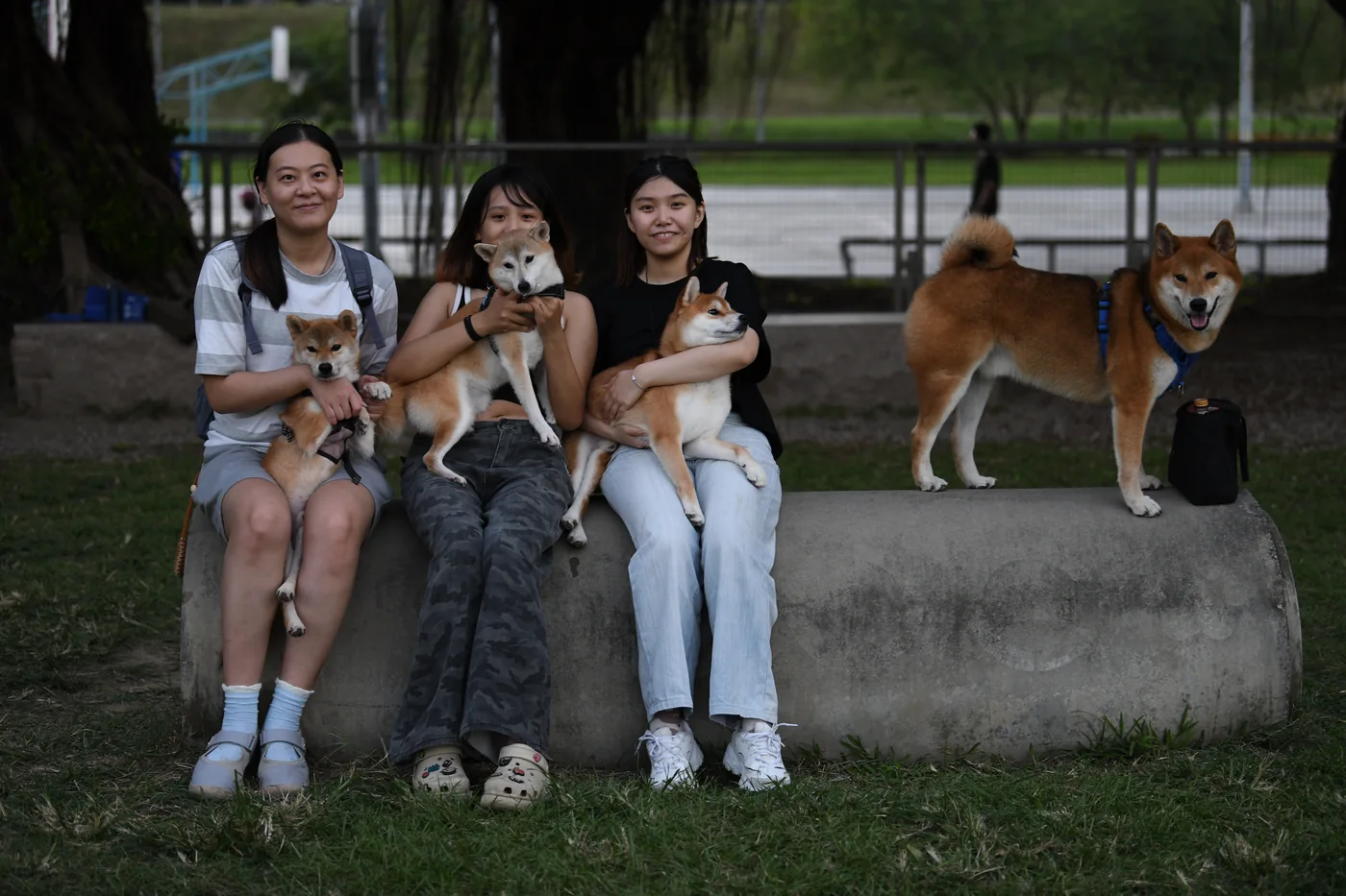 人與毛孩坐在公園長椅旁，一起留下合照